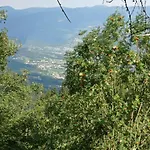 La Casa Di Anna Nel Parco Delle Dolomiti Croce D' Aune 1000 Ml Slm Lägenhet