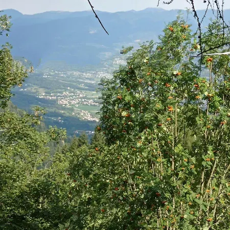 La Casa Di Anna Nel Parco Delle Dolomiti Croce D' Aune 1000 Ml Slm Apartmán