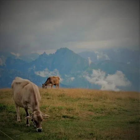 La Casa Di Anna Nel Parco Delle Dolomiti Croce D' Aune 1000 Ml Slm * Pedavena