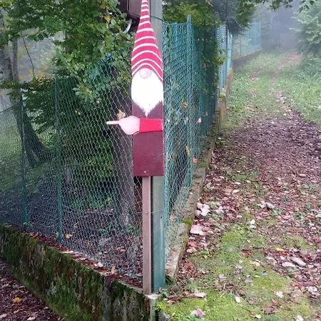 La Casa Di Anna Nel Parco Delle Dolomiti Croce D' Aune 1000 Ml Slm *