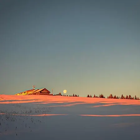 La Casa Di Anna Nel Parco Delle Dolomiti Croce D' Aune 1000 Ml Slm