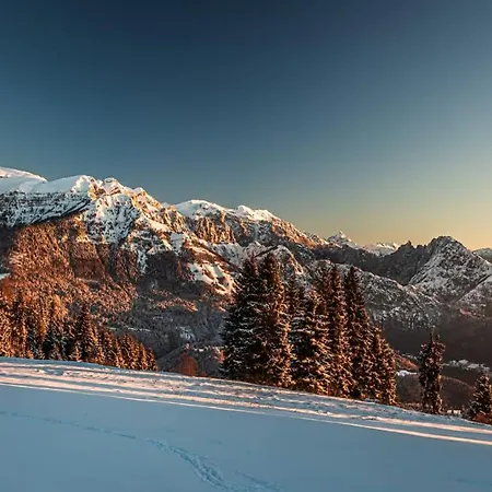 La Casa Di Anna Nel Parco Delle Dolomiti Croce D' Aune 1000 Ml Slm * Pedavena