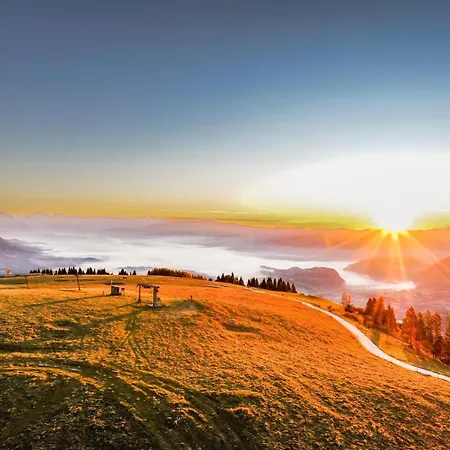 La Casa Di Anna Nel Parco Delle Dolomiti Croce D' Aune 1000 Ml Slm Pedavena